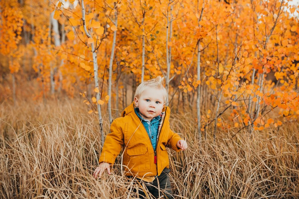 ogden utah photographer