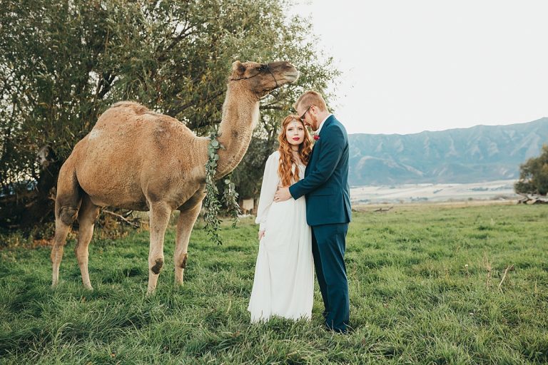 Logan Utah Wedding Photographer | Boho Elopement | Featuring Moses the Camel