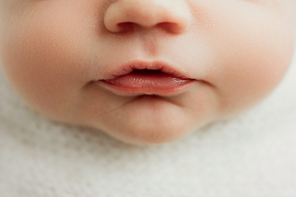 ogden newborn photography